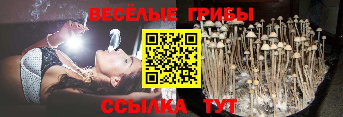 Ликино-Дулёво  Галлюциногенные грибы GOLDEN TEACHER  Галлюциногенные грибы Cubensis  Вход с VPN 
